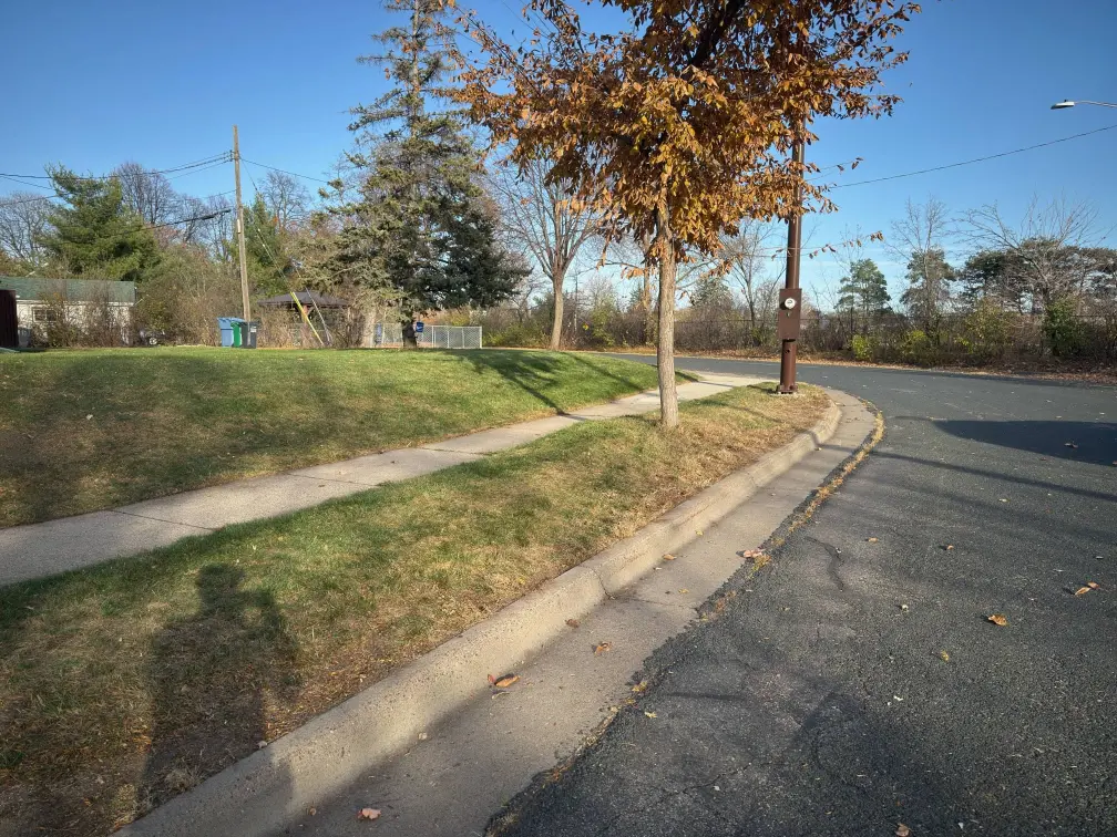 Fall Clean Up After