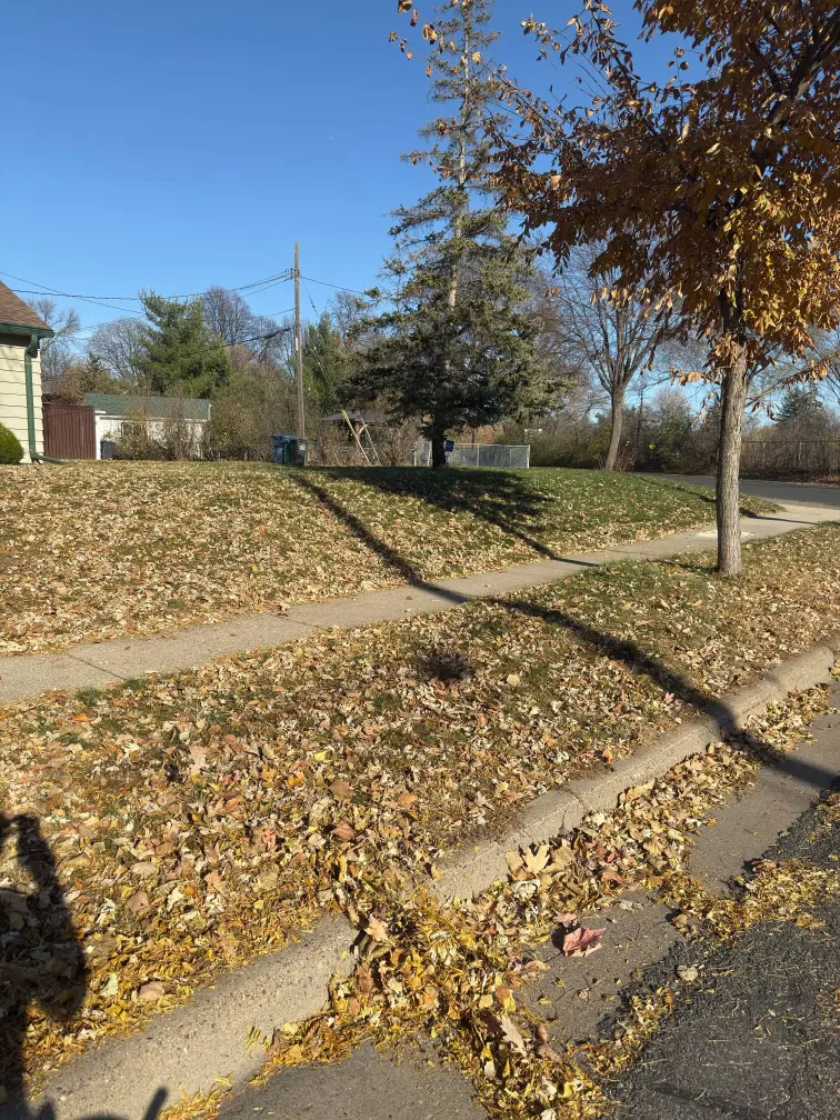 Fall Clean Up Before