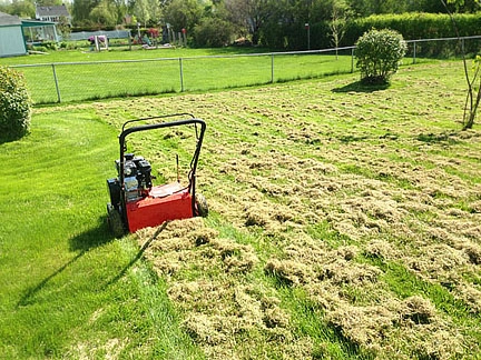 Dethatching gallery