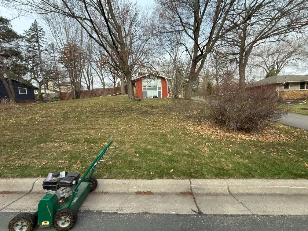 Fall Clean Up