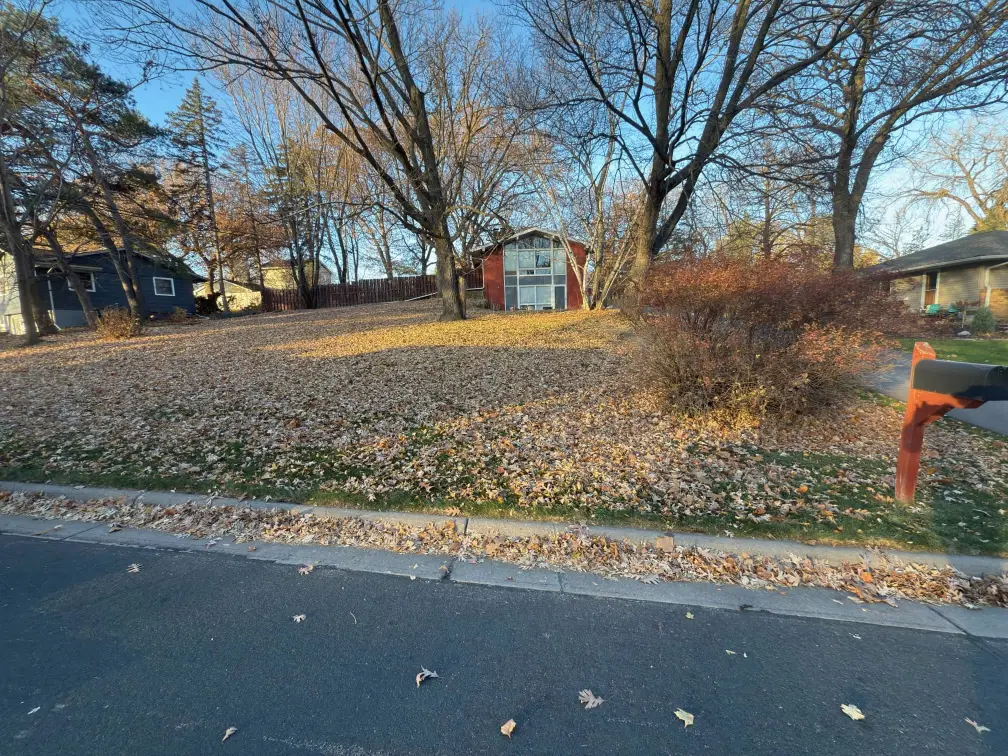 Fall Clean Up gallery