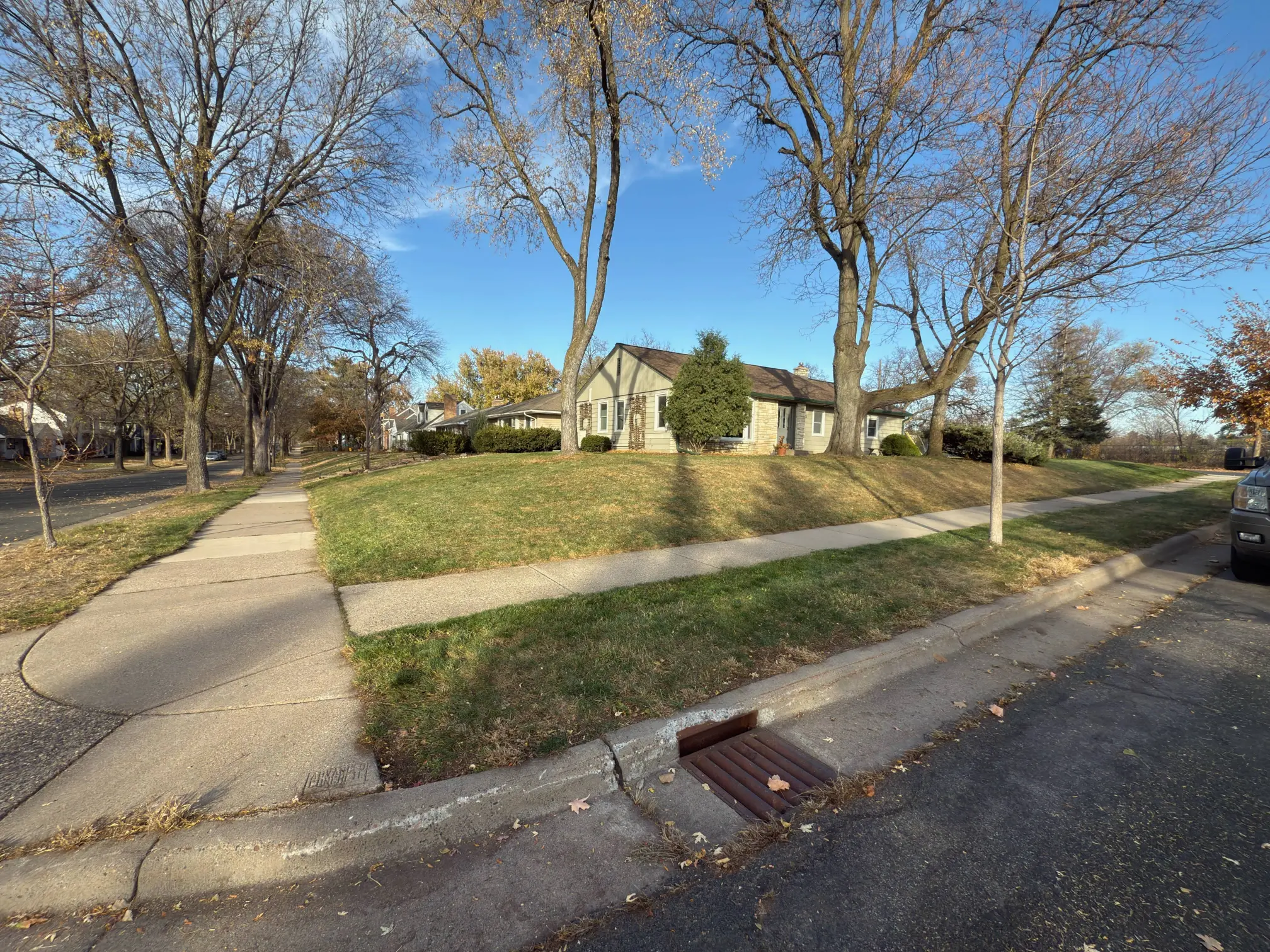Fall Clean Up gallery