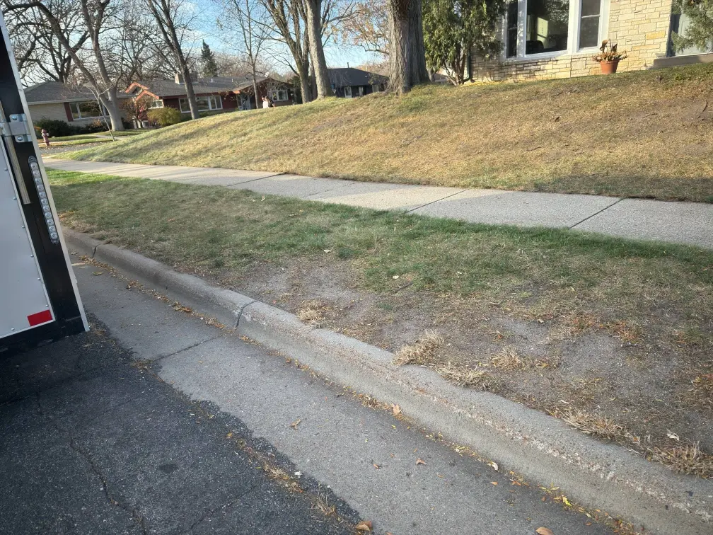 Fall Clean Up gallery
