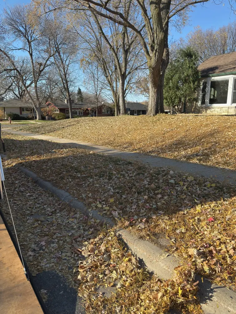 Fall Clean Up gallery
